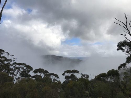 5119585e-d248-4fda-ac45-81accba38b84