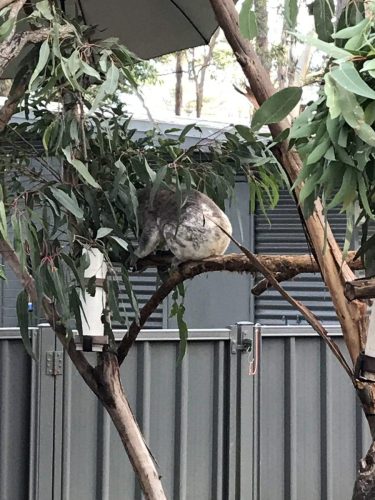 51ce6f97-d6f0-43af-8dd0-63c1d748f99b