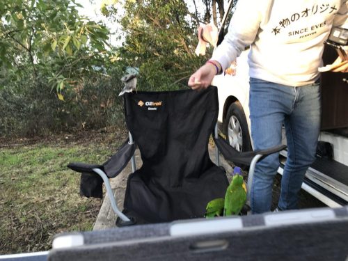 53ce1f3f-8678-402f-a7fc-ff91a9841c9e