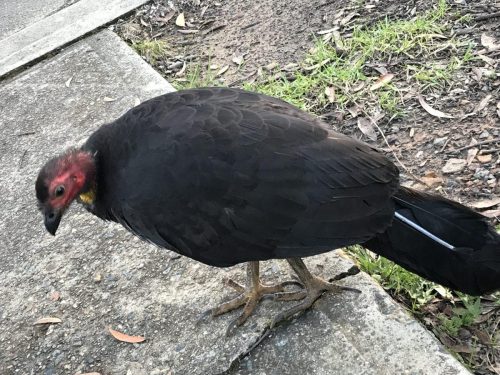 58d80961-ae1f-42fc-b9ed-db321d7317c0