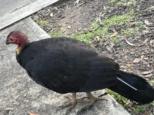 5ca34d05-b470-4919-aa25-540a59f3b80c