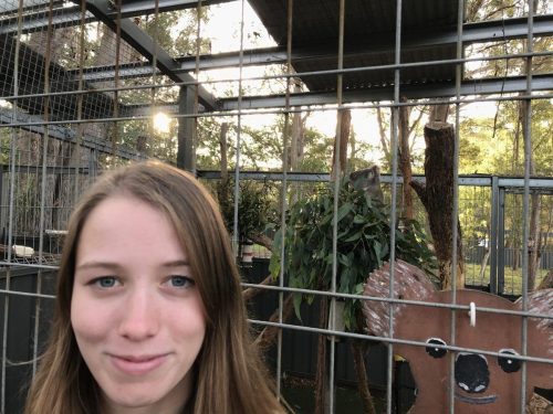 615d4d40-8e28-4b72-809d-be5d9f4de22b