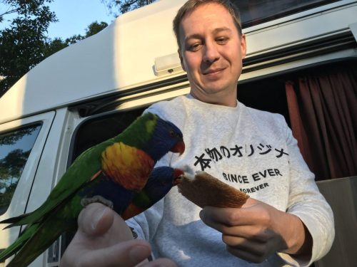 6581b0ec-571e-452d-963a-03002cc6ac34