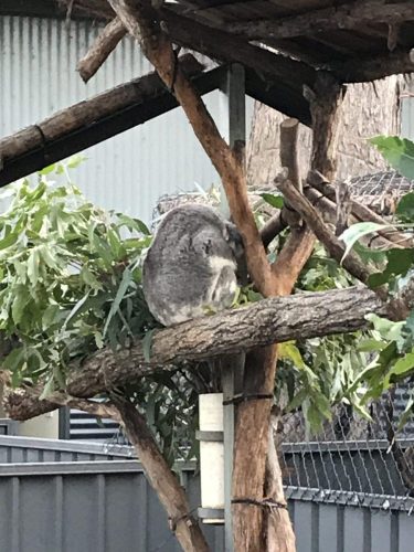 661844ef-4732-4beb-a3fc-d298b4e1f8f0