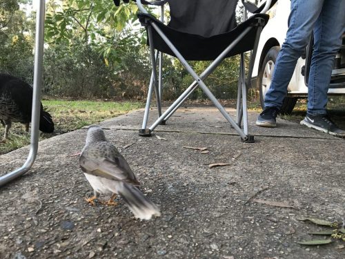 6e7ce717-92d2-4bd6-8625-89c94d10e16f