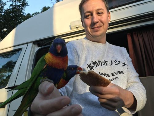 71a565cb-6fcb-4a8b-a854-501fdf2453e2