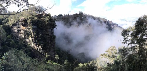 733c46cc-3963-41bd-914d-904ef9facddd