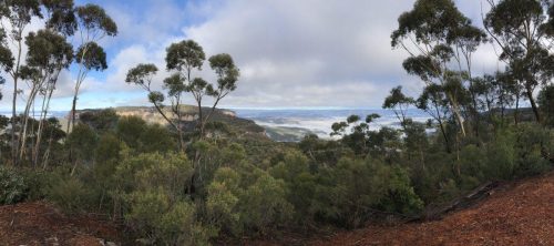 73698e2a-09d0-44a4-85c9-8e3f581fbd6e