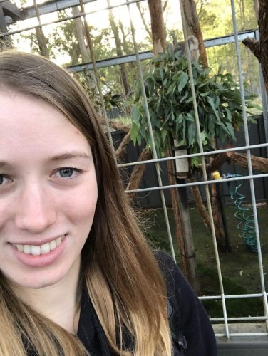 7628ace0-d258-4561-a233-a9c100fc3005