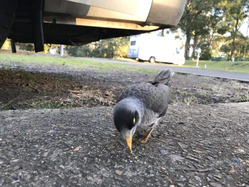 7690cc2e-f50c-46c7-8221-6876089a733c