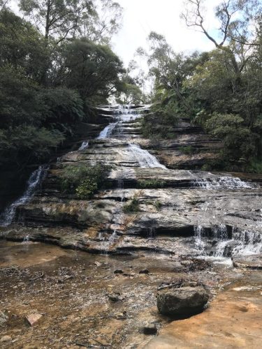 7913ec0a-b10a-4f42-85dc-a3b77c922d98