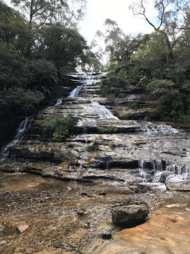 79848080-c8f0-4ffc-ad40-ba86be0c3186