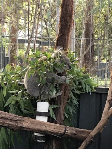 7e58d549-4d65-4a39-b563-f011e69eda4a