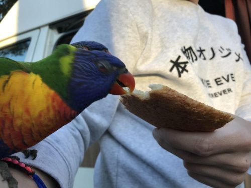 7ec09c4a-47bc-4ad2-b016-4ac3b68f7043