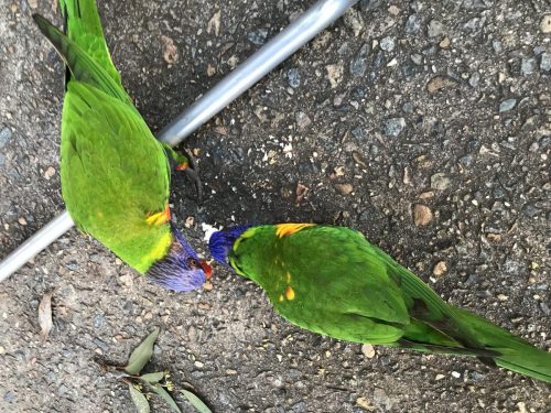 80a9ca77-948f-410a-be46-7c1ad9c87c66