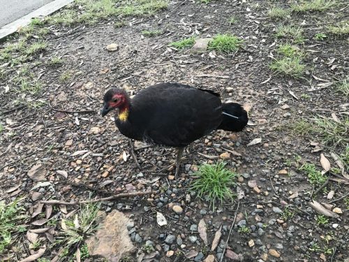 80cbdcf9-7e35-4d9d-9062-fc156e60f838