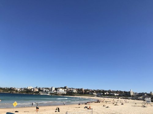 83ef0ebb-ead9-4db2-a7d0-3ac1e53d1358