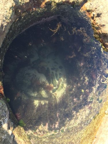 862552a9-1e45-4f51-abb2-354d92e379b9