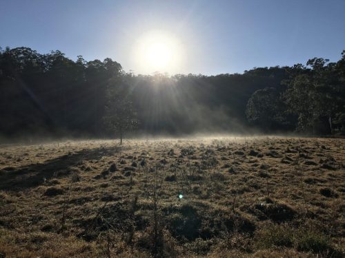 879bb131-8ff9-4284-bd2b-250e699ef6bb