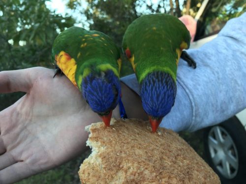 8814ea6c-804e-40c0-9760-b95f4df1386d