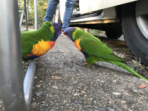 8997a3a1-7537-4ffb-b375-87ddb007a3ce