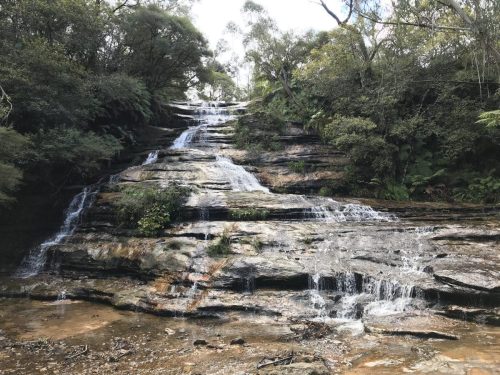 8c5e70d8-efa3-4cef-ab94-1859aee1c123