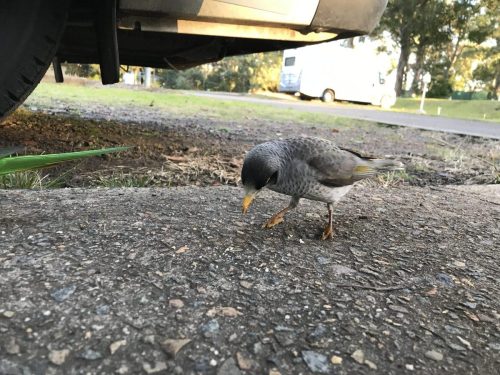 8c628b45-30a1-40ba-9367-5a898728538b