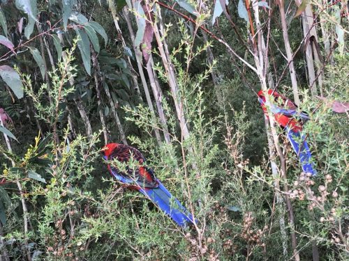 8d134ed7-5476-49e8-ae00-1e7640b6c08e