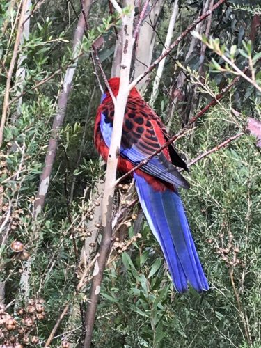 8ec641d5-597f-449f-b29b-3ac72bf014c3