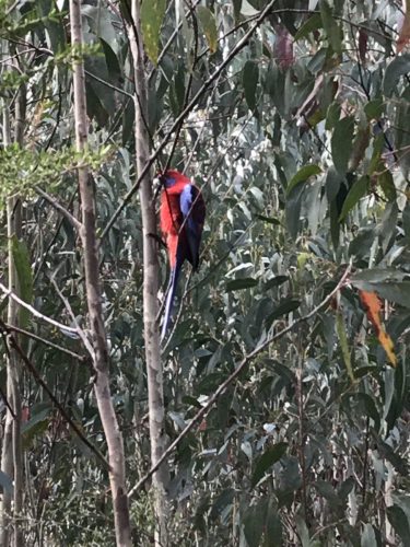 90278487-8e1c-4de3-9904-ca32deb6256c