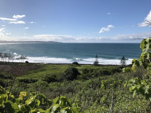 90363f1c-1c02-4fc5-a6e8-d0b2ddcf7c9b