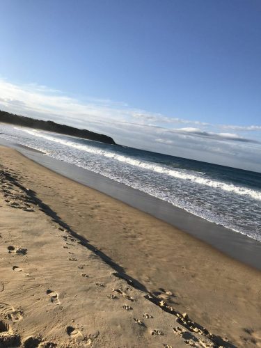 905b974c-9b1d-44df-8788-3fc70141e766