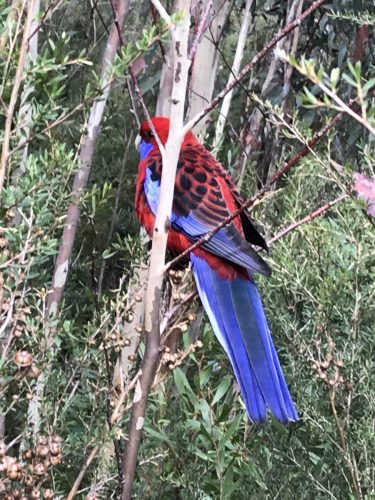 923b85fd-7b24-4af4-9e50-b24d2d6f3f18