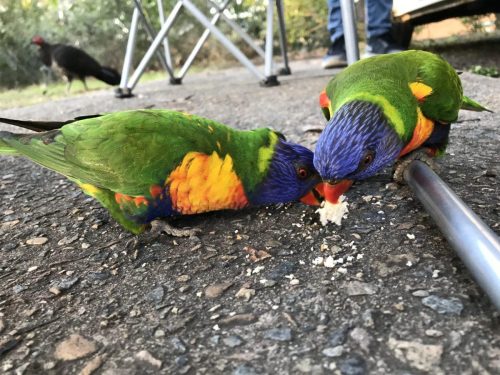 93c26ada-f795-4079-98b8-350300c43cd4