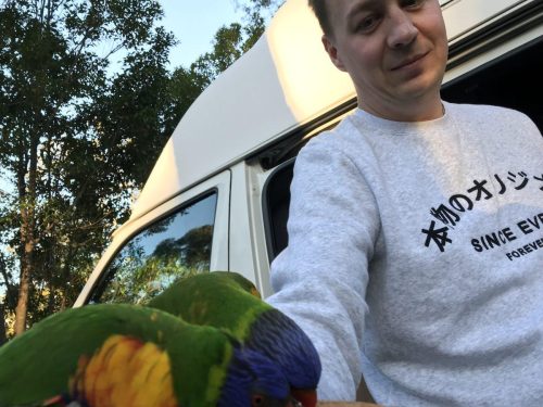 965c614c-dc1b-455f-9817-56711efe1f59