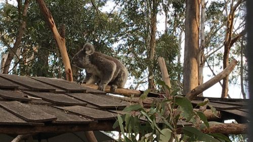 982db1d5-4c35-443c-8051-a1521cf23e26