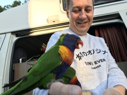 986a13ae-7bbb-4a5f-afb8-e5ac2199ab8a