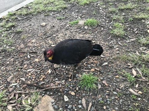 9ca8a77f-9089-4ab5-ba53-54f5edd18aac