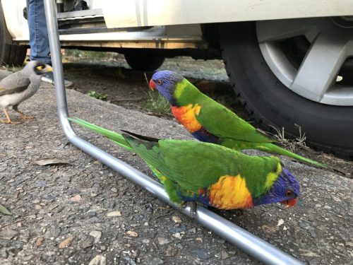 9f8c821c-cd42-4b46-962f-79780b093d96