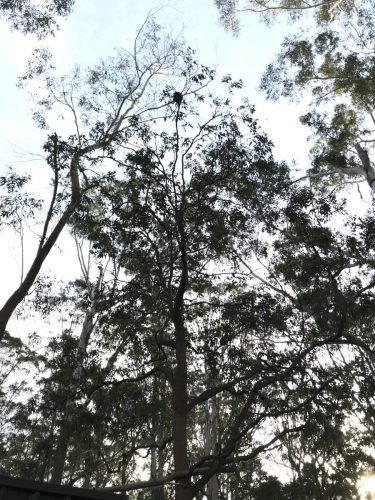 a24c4ee3-3b6a-4806-9909-f80c9840f9bd