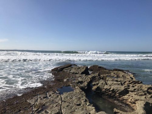 a28c7141-6c1a-4b26-b884-b7327b5eaaf4