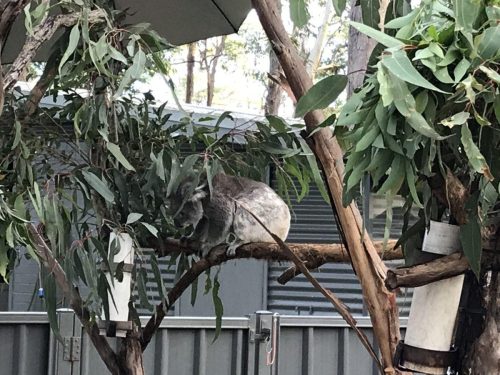 a37acf8d-a030-45ee-a81d-4dc5b0bbc220