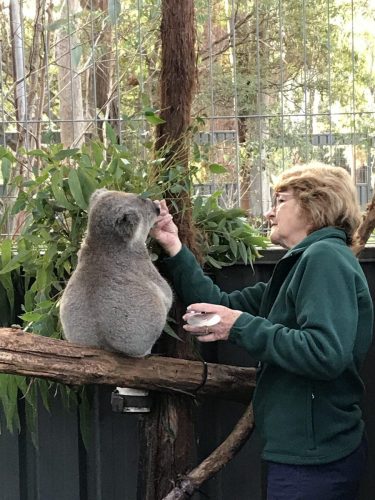 a4a308e6-588c-43d4-9db5-c06566e16a5c