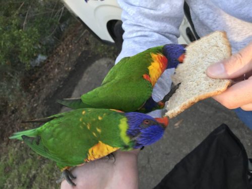 a5f461b3-d2dd-4cd3-99cc-01de605b36e7