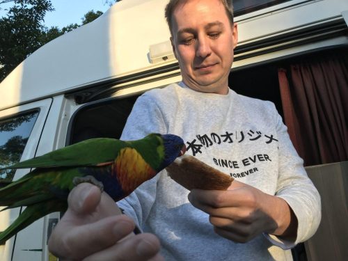 a7790116-358e-4b45-9890-a0941d85edde