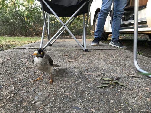 ab3fb100-7fef-4ae9-a693-7c5ccc19fa8c