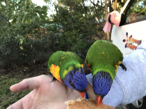 b0fa6296-21ee-47df-b62b-c69d563706e6