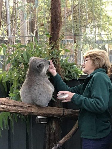 b2d27fcb-2bd2-4737-8e3a-b2caf496e7c2