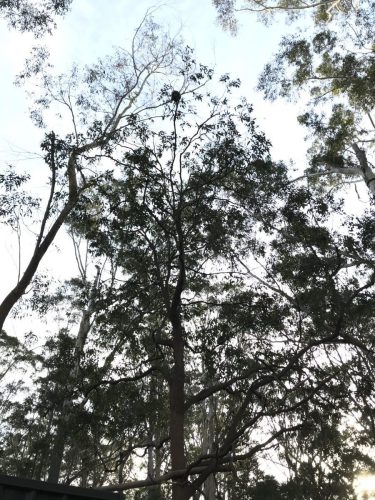 b412a38a-4ce9-48e6-8735-4e329cdd014c