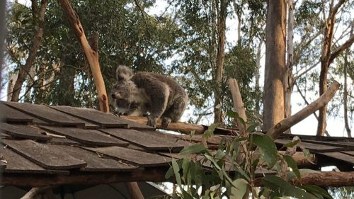 b494b08c-087e-485c-889a-103982e74d1e